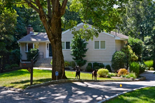 Side Landscaping | Pleasantville NY by MG's Lawn Green Inc - Photo 2