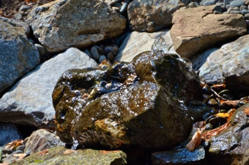 Rock Bubbler | Chappaqua NY by MG's Lawn Green Inc - Photo 4