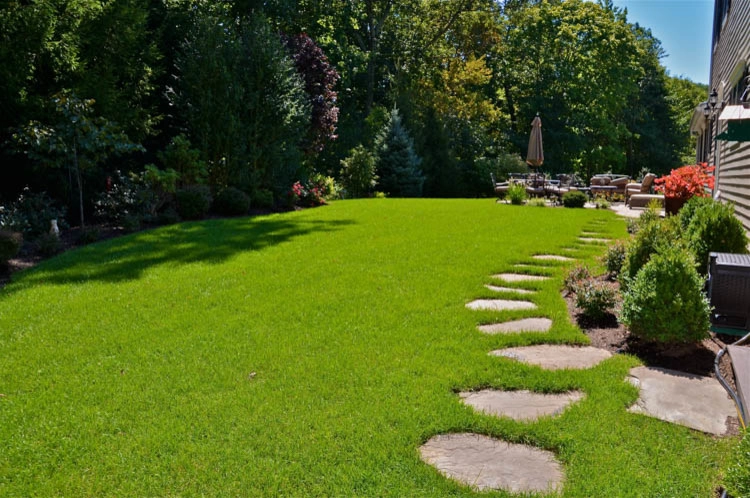 Landscape Front & Back | Pleasantville NY by MG's Lawn Green Inc - Photo 4