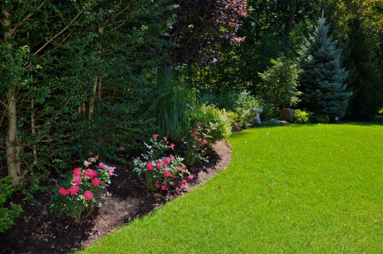 Landscape Front & Back | Pleasantville NY by MG's Lawn Green Inc - Photo 15
