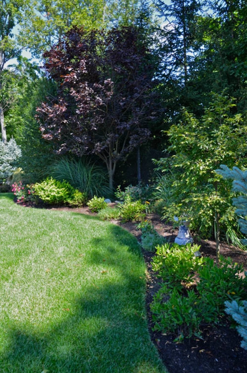 Landscape Front & Back | Pleasantville NY by MG's Lawn Green Inc - Photo 34