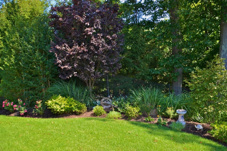 Landscape Front & Back | Pleasantville NY by MG's Lawn Green Inc - Photo 35