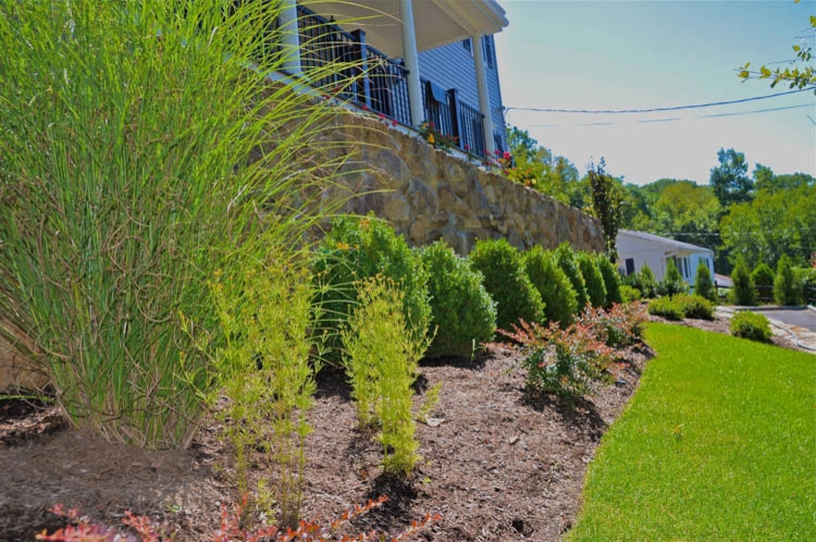 Landscape Front & Back | Pleasantville NY by MG's Lawn Green Inc - Photo 10