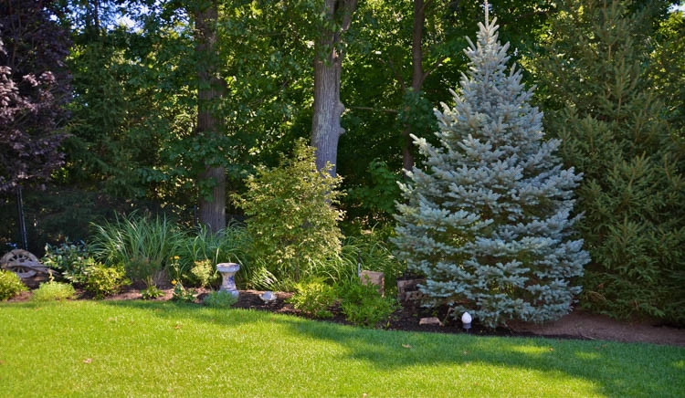 Landscape Front & Back | Pleasantville NY by MG's Lawn Green Inc - Photo 14