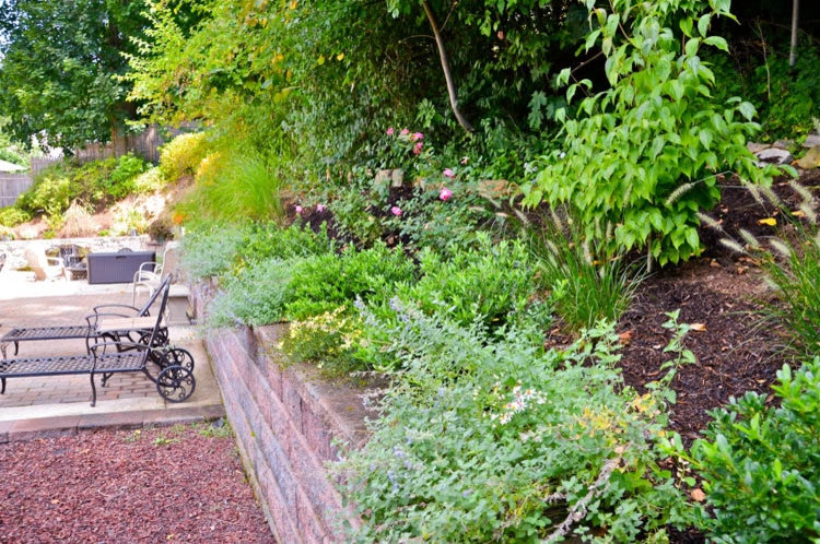 Landscaping | Waterfall | Koi Pond | Thornwood NY by MG's Lawn Green Inc - Photo 2