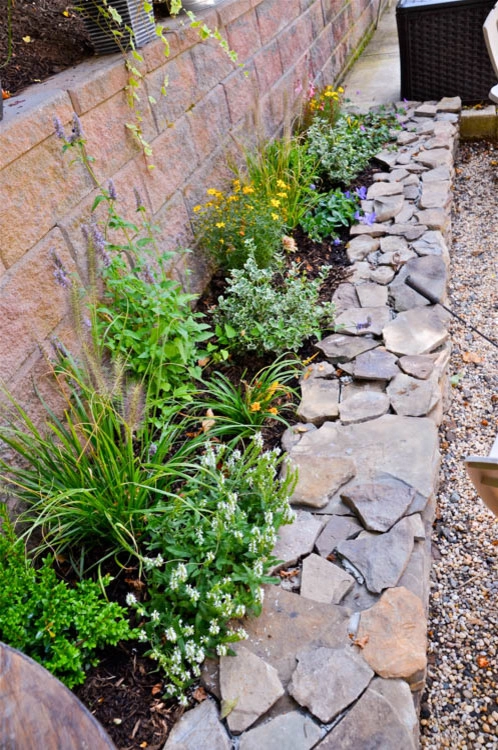 Landscaping | Waterfall | Koi Pond | Thornwood NY by MG's Lawn Green Inc - Photo 18