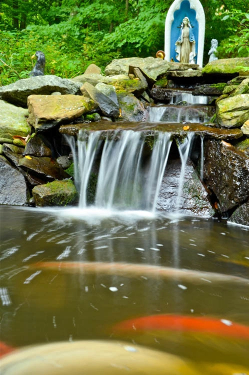 Waterfall | Koi Pond | Thornwood NY by MG's Lawn Green Inc - Photo 18