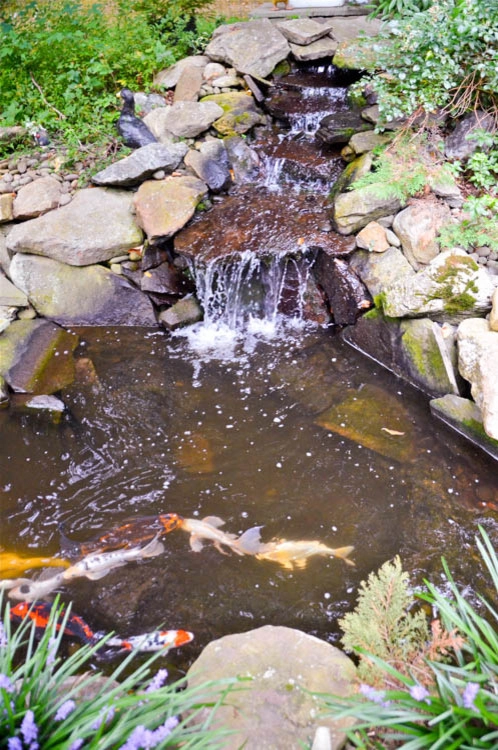 Waterfall | Koi Pond | Thornwood NY by MG's Lawn Green Inc - Photo 7
