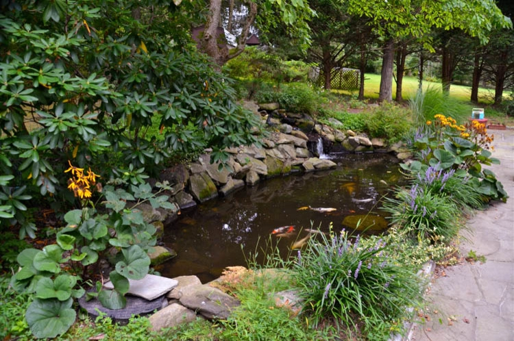 Waterfall | Koi Pond | Thornwood NY by MG's Lawn Green Inc - Photo 17