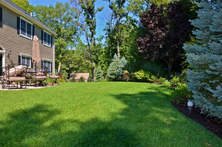 Landscape Front & Back | Pleasantville NY by MG's Lawn Green Inc - Photo 23