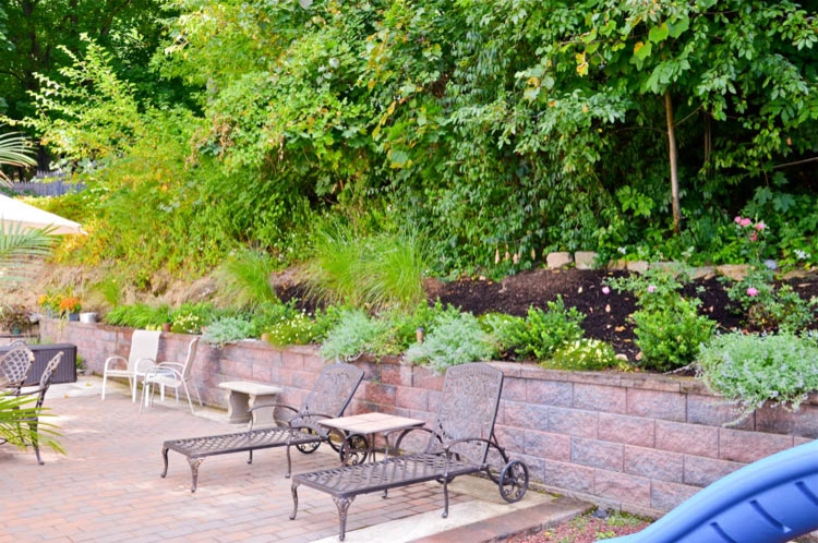 Landscaping | Waterfall | Koi Pond | Thornwood NY by MG's Lawn Green Inc - Photo 6
