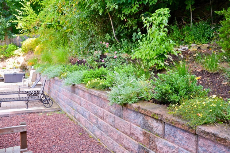 Landscaping | Waterfall | Koi Pond | Thornwood NY by MG's Lawn Green Inc - Photo 8