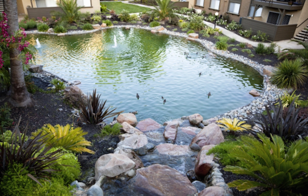 Our Work by MG's Lawn Green Inc - Photo 8