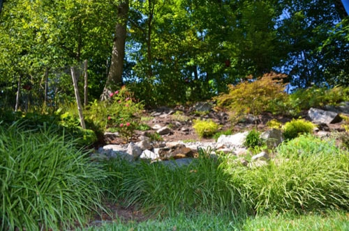 MG's Lawn Green Inc - Photo 3