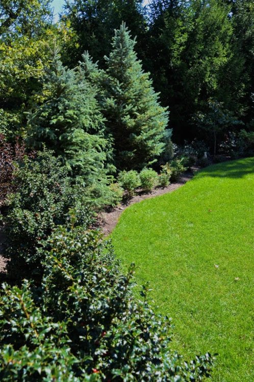 Landscape Front & Back | Pleasantville NY by MG's Lawn Green Inc - Photo 18