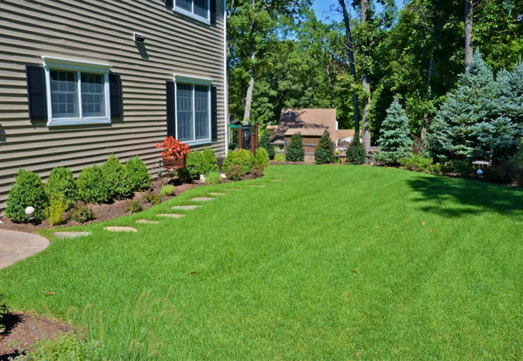 Landscape Front & Back | Pleasantville NY by MG's Lawn Green Inc - Photo 13