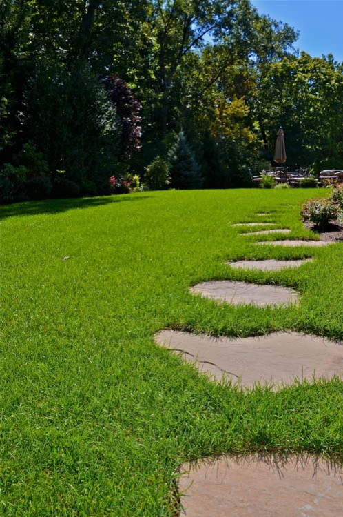 Landscape Front & Back | Pleasantville NY by MG's Lawn Green Inc - Photo 16