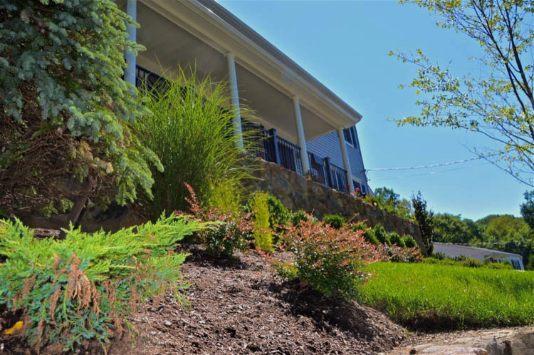 Landscape Front & Back | Pleasantville NY by MG's Lawn Green Inc - Photo 8