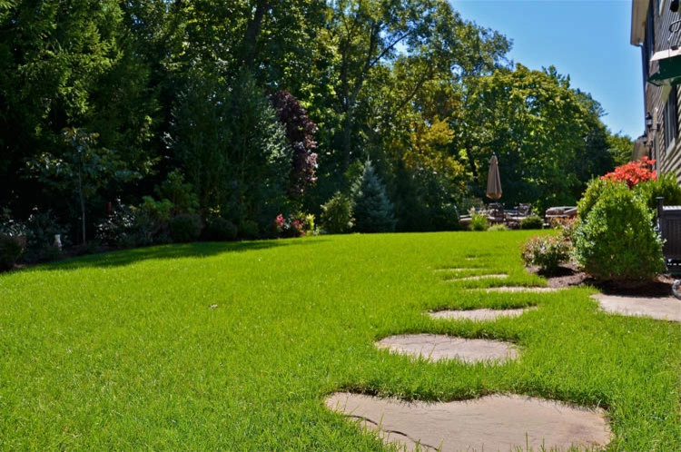 Landscape Front & Back | Pleasantville NY by MG's Lawn Green Inc - Photo 32