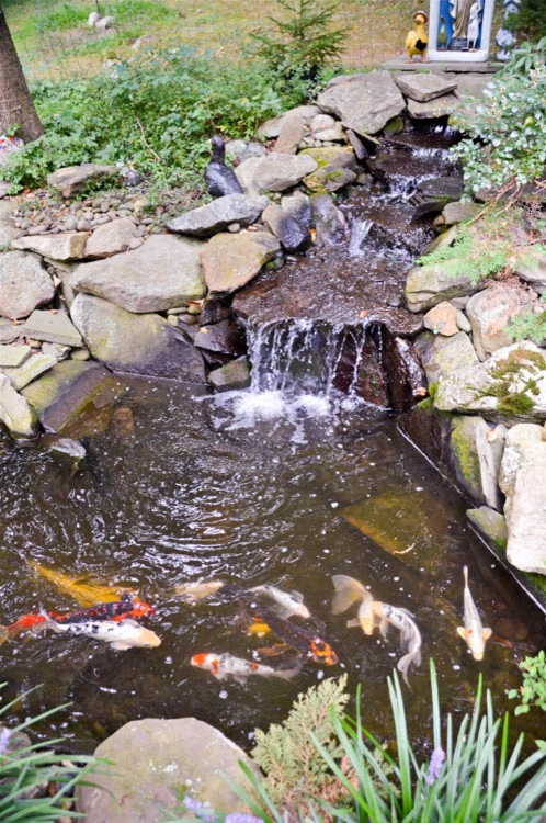 Waterfall | Koi Pond | Thornwood NY by MG's Lawn Green Inc - Photo 9