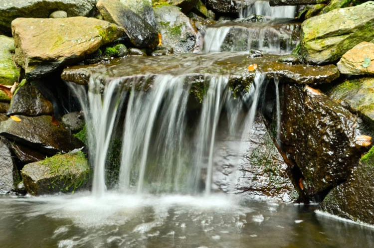 Waterfall | Koi Pond | Thornwood NY by MG's Lawn Green Inc - Photo 6