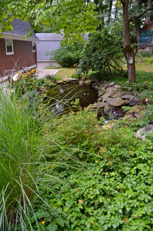 Waterfall | Koi Pond | Thornwood NY by MG's Lawn Green Inc - Photo 13