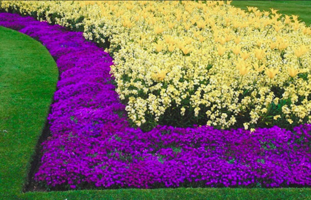 Our Work by MG's Lawn Green Inc - Photo 6