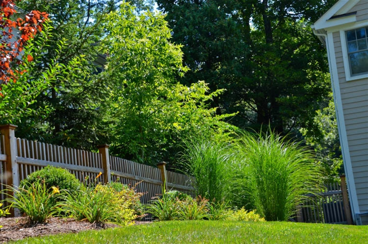MG's Lawn Green Inc - Photo 6