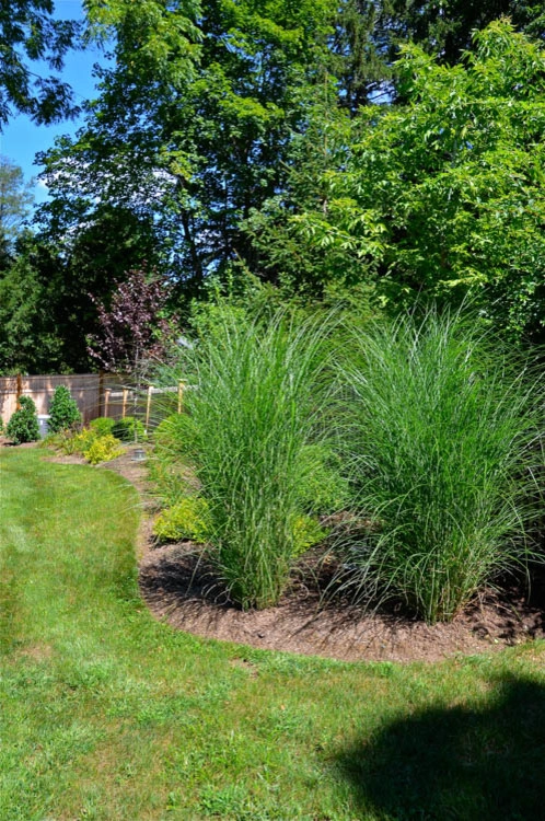 MG's Lawn Green Inc - Photo 8