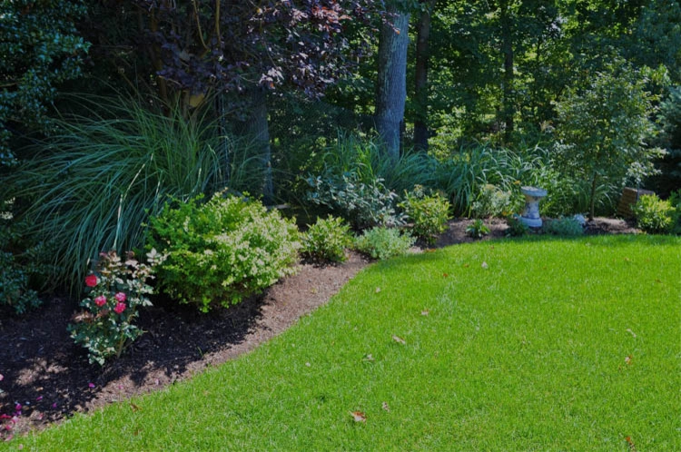 Landscape Front & Back | Pleasantville NY by MG's Lawn Green Inc - Photo 33