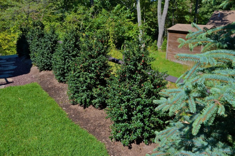 MG's Lawn Green Inc - Photo 12