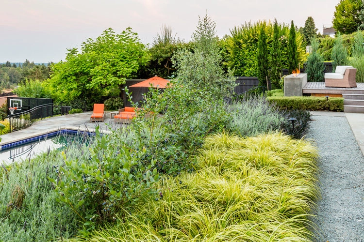 Fink by Mi Fiori Landscape LLC - Photo 7