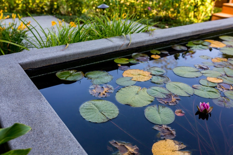 Beattie by Mi Fiori Landscape LLC - Photo 10