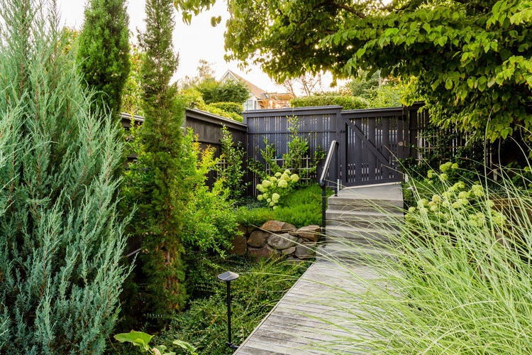 Fink by Mi Fiori Landscape LLC - Photo 9