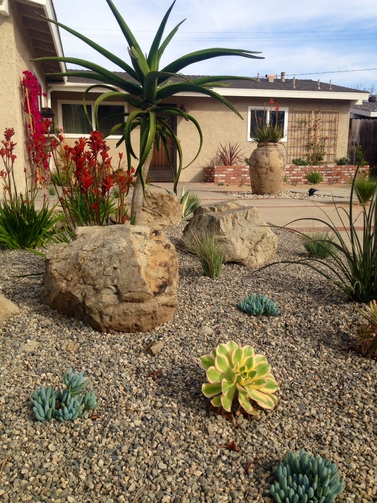 Costa Mesa color/Water conservation, by Camille Beehler Landscape Design - Photo 3