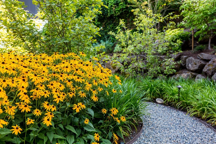 Mi Fiori Landscape LLC - Photo 12