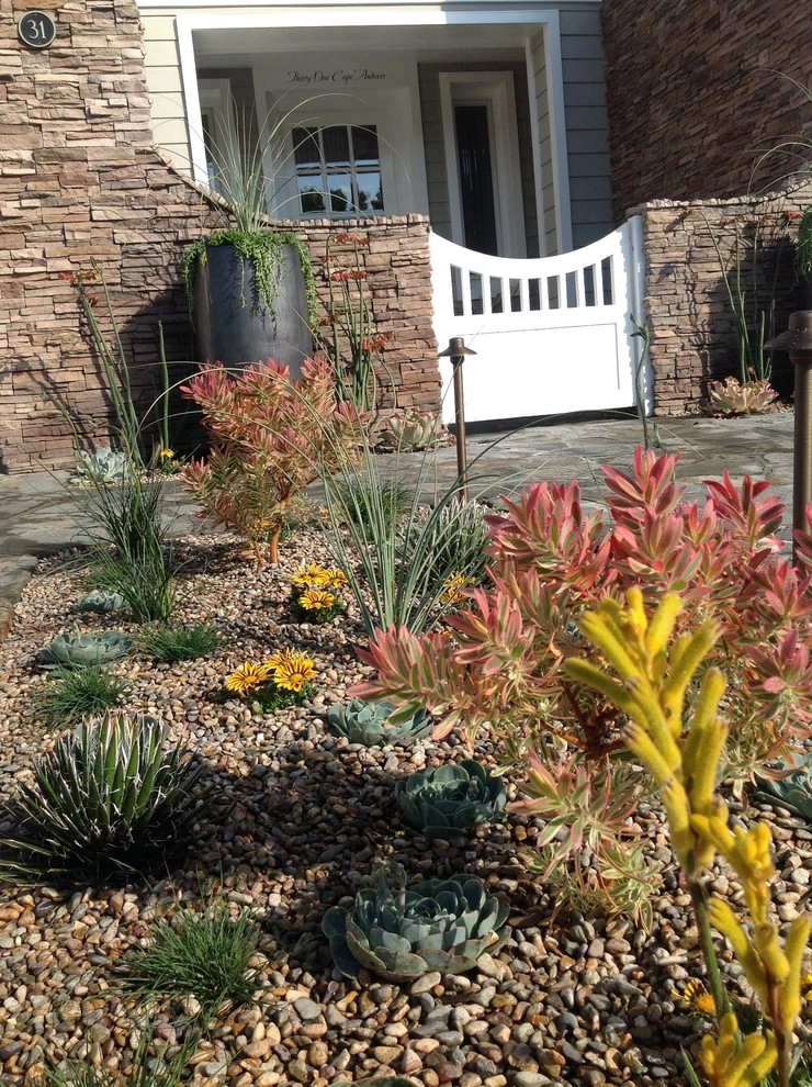Cape Andover goes Drought Tolerant by Camille Beehler Landscape Design - Photo 3