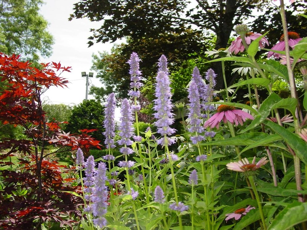 Fine Gardening by Michael P. Neath Landscape Construction, Inc. - Photo 12