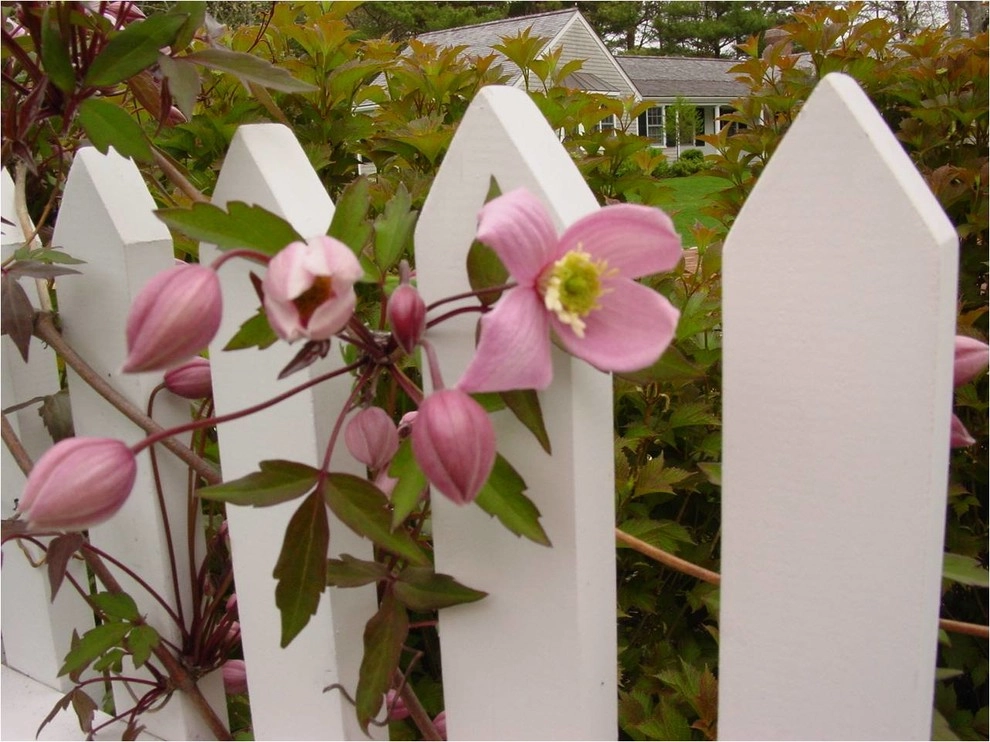 Fine Gardening by Michael P. Neath Landscape Construction, Inc. - Photo 35