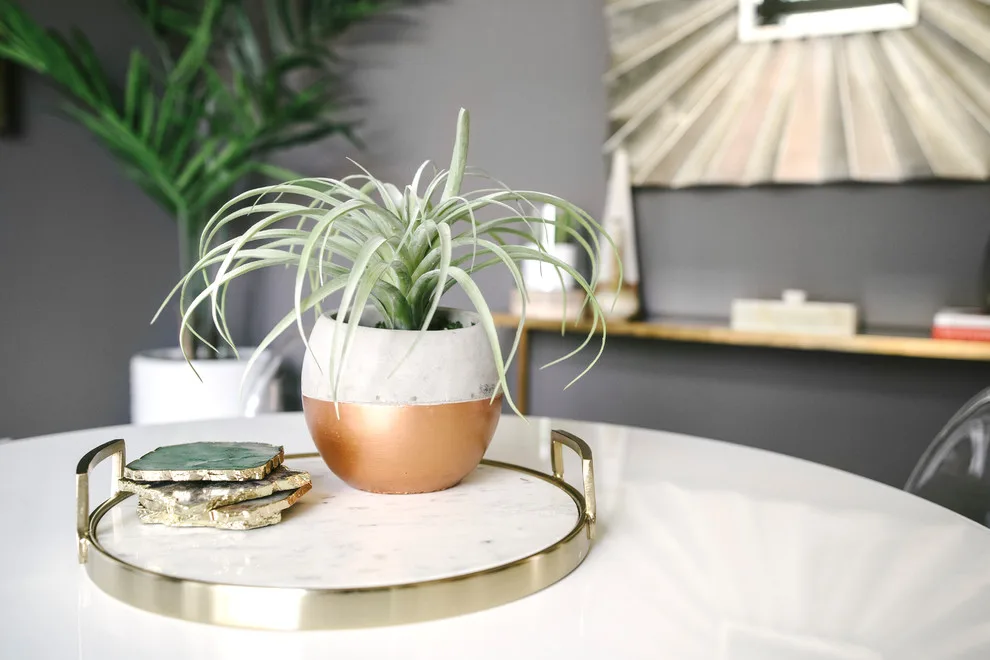 Jade Workspace by Erin Melkonian Designs - Photo 5