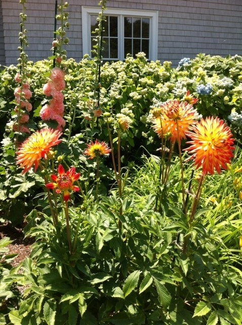 Fine Gardening by Michael P. Neath Landscape Construction, Inc. - Photo 28