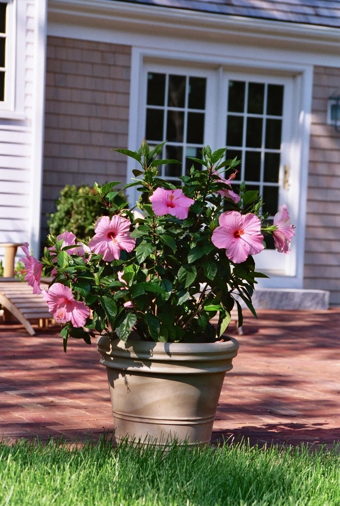 Fine Gardening by Michael P. Neath Landscape Construction, Inc. - Photo 16