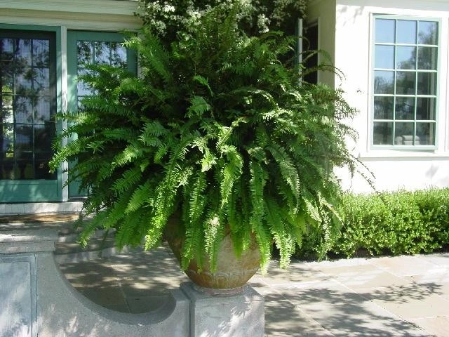 Fine Gardening by Michael P. Neath Landscape Construction, Inc. - Photo 18