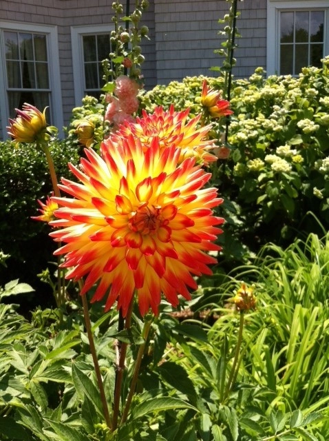 Fine Gardening by Michael P. Neath Landscape Construction, Inc. - Photo 23