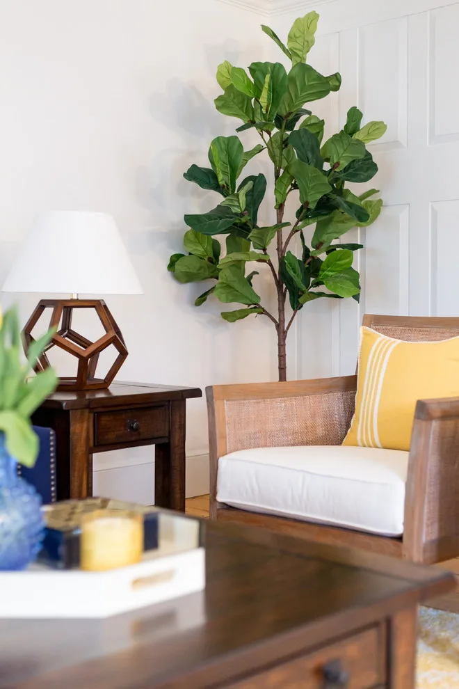 Encinitas Residence by Elizabeth Louise Interiors - Photo 10