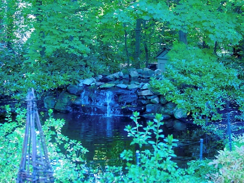 Pond Installation by Michael P. Neath Landscape Construction, Inc. - Photo 3