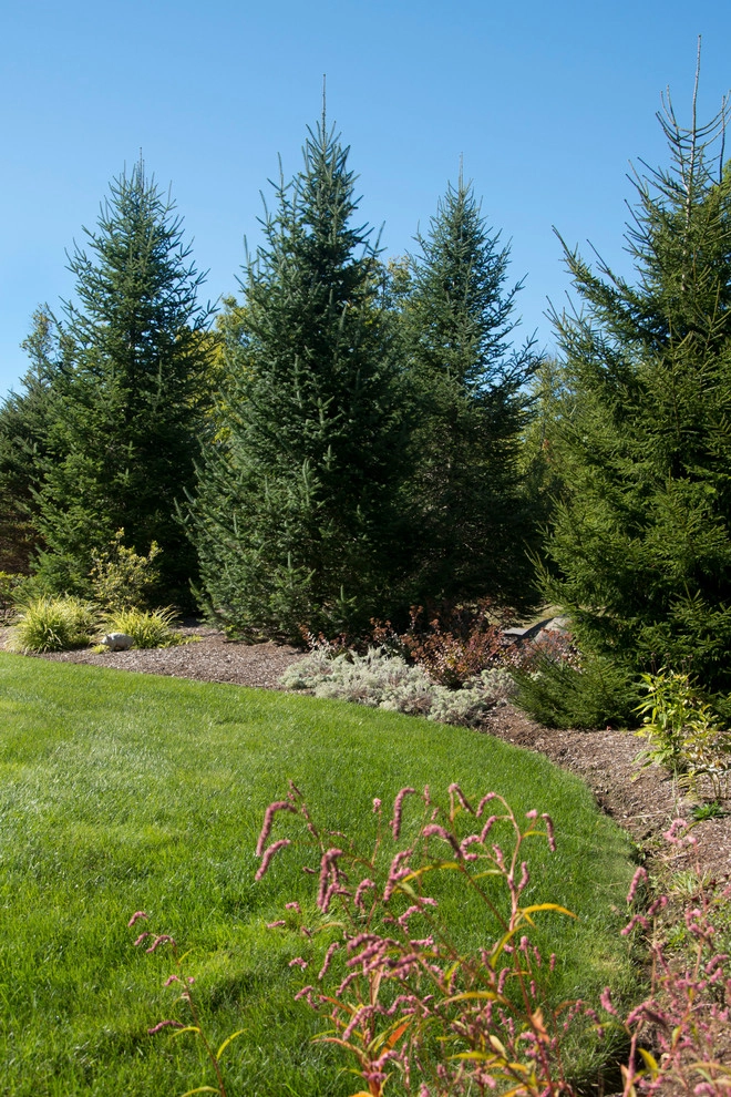 Rustic Natural Landscaping by Michael Therrien Landscaping, LLC - Photo 2