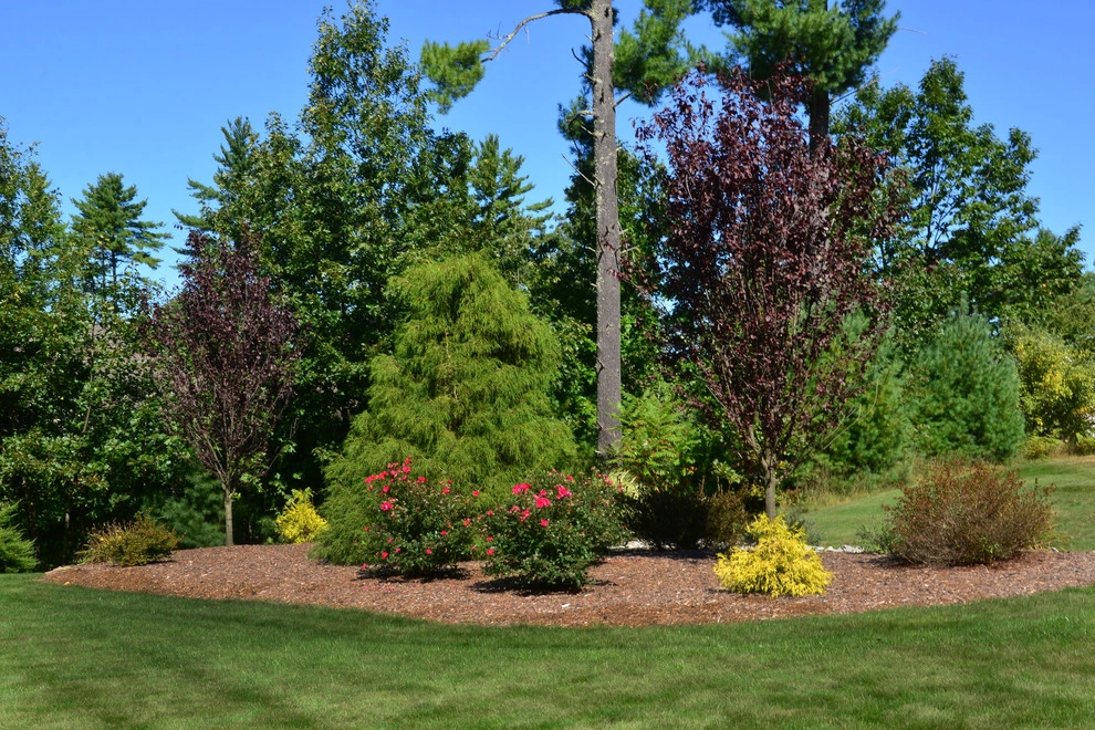 Traditional Front Yard by Michael Therrien Landscaping, LLC - Photo 6