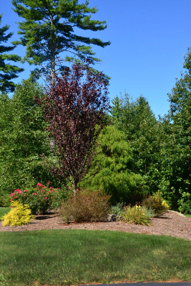 Neat, Elegant Landscaping by Michael Therrien Landscaping, LLC - Photo 7