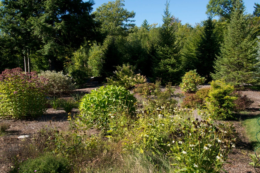 Rustic Natural Landscaping by Michael Therrien Landscaping, LLC - Photo 3